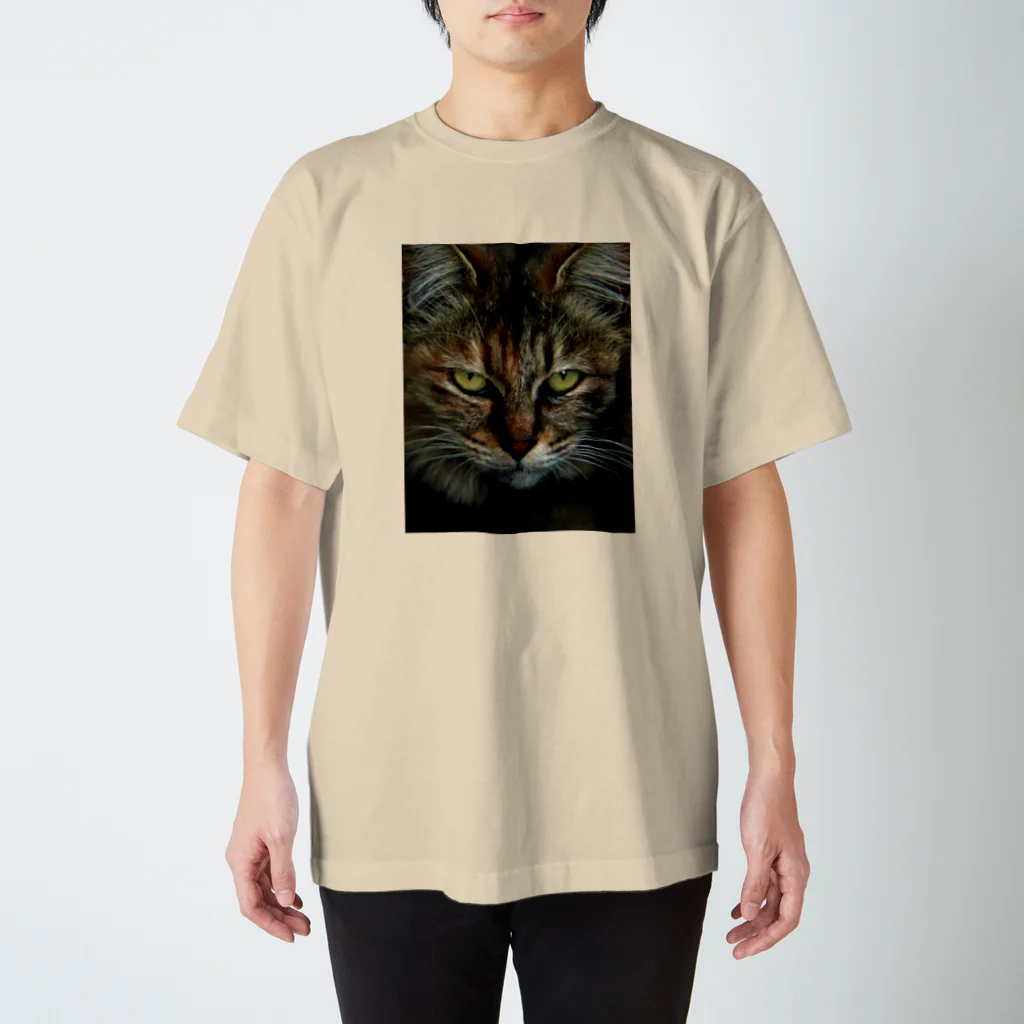 308GTBooのCAT スタンダードTシャツ