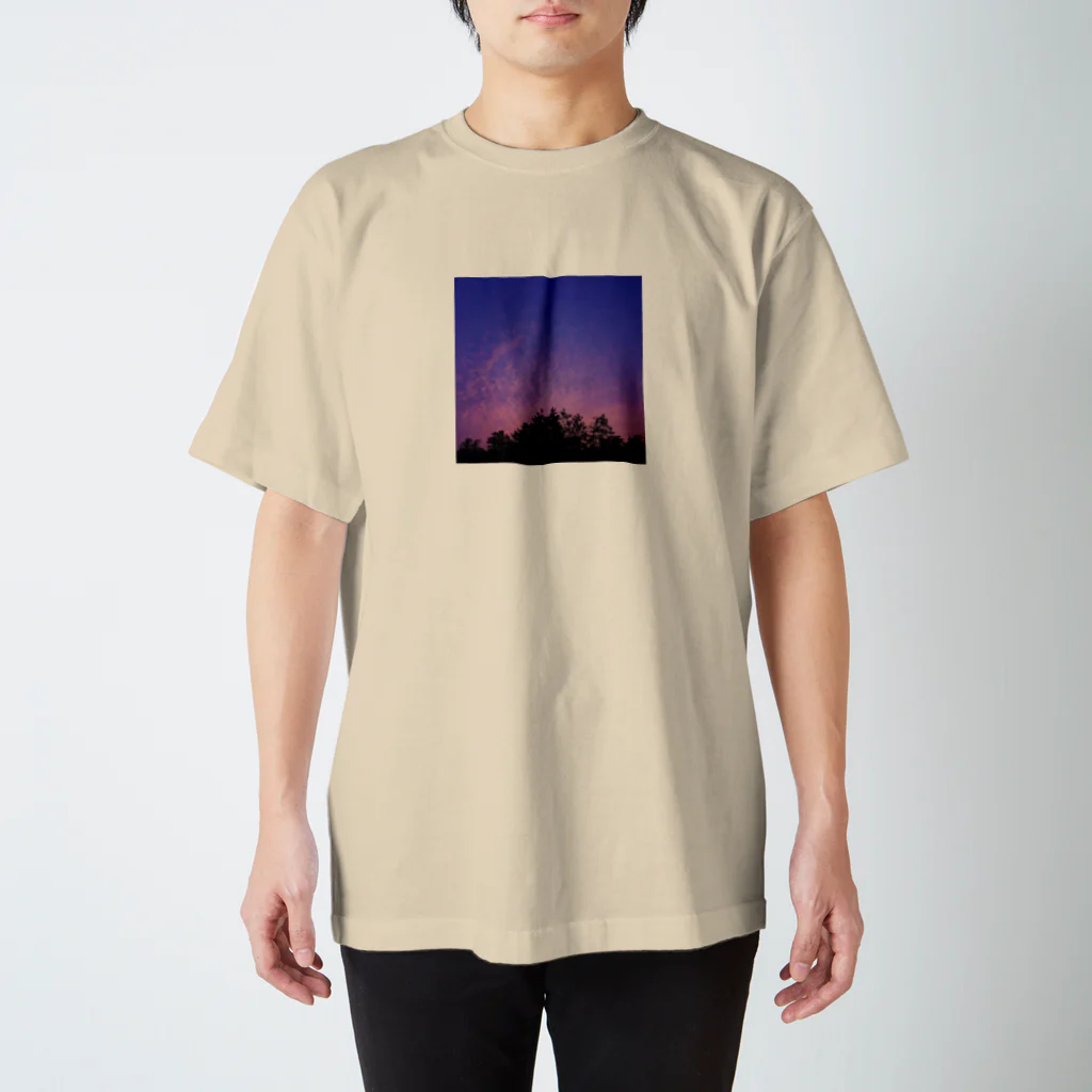 komainu新聞社の夕焼け スタンダードTシャツ