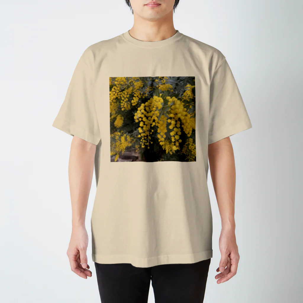 minamu_の花粉飛散 スタンダードTシャツ