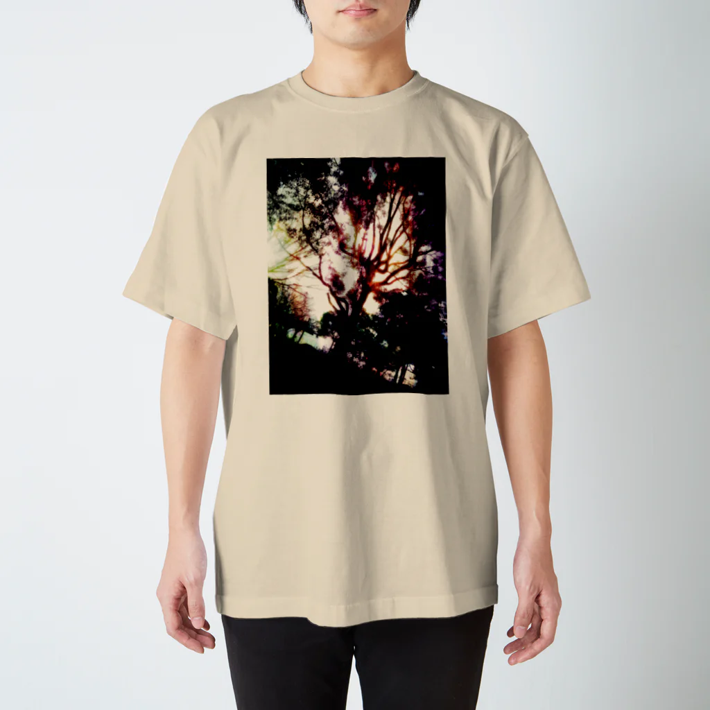 白夢の虹と木 Regular Fit T-Shirt