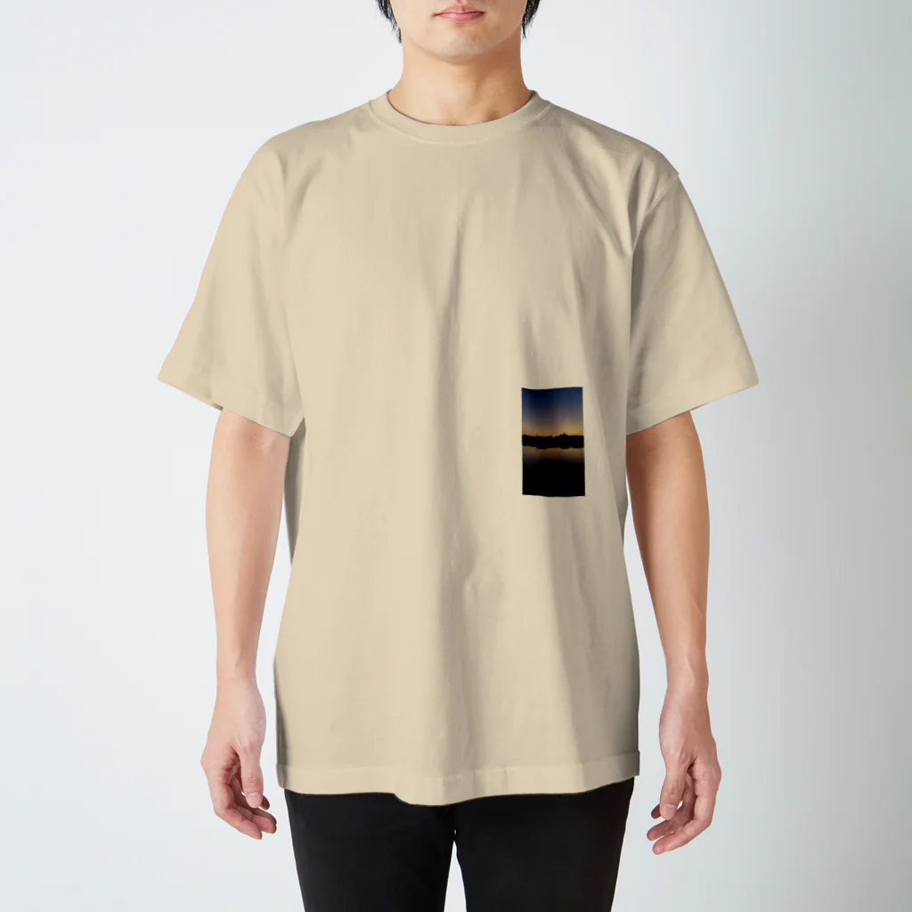 Trifolium repensの夕焼けグラデーションu スタンダードTシャツ