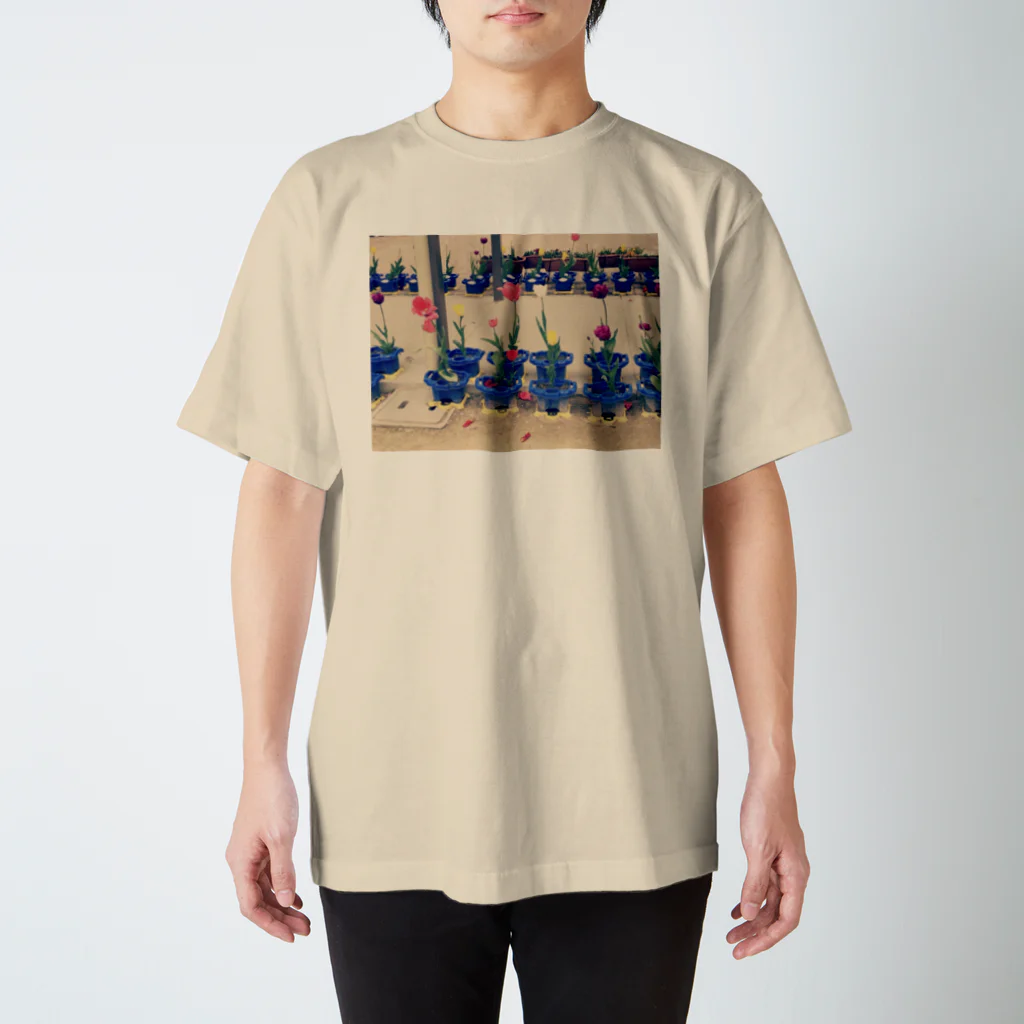 kuikoの咲いた・さいた スタンダードTシャツ