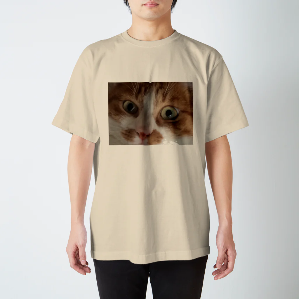 海央(池田氏)のねこのめ スタンダードTシャツ