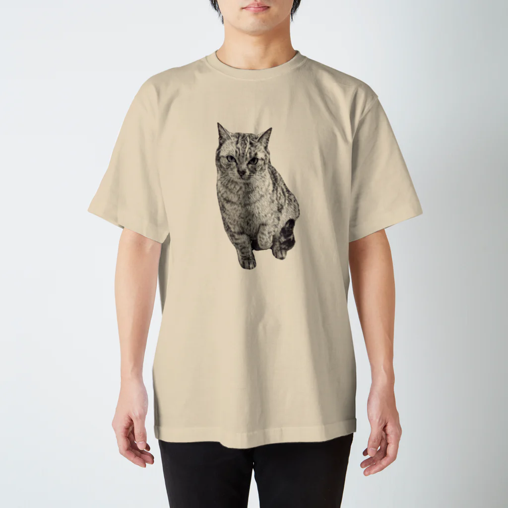 ちばっちょ【ち畳工房&猫ねこパラダイス】のトラ猫シマちゃん スタンダードTシャツ