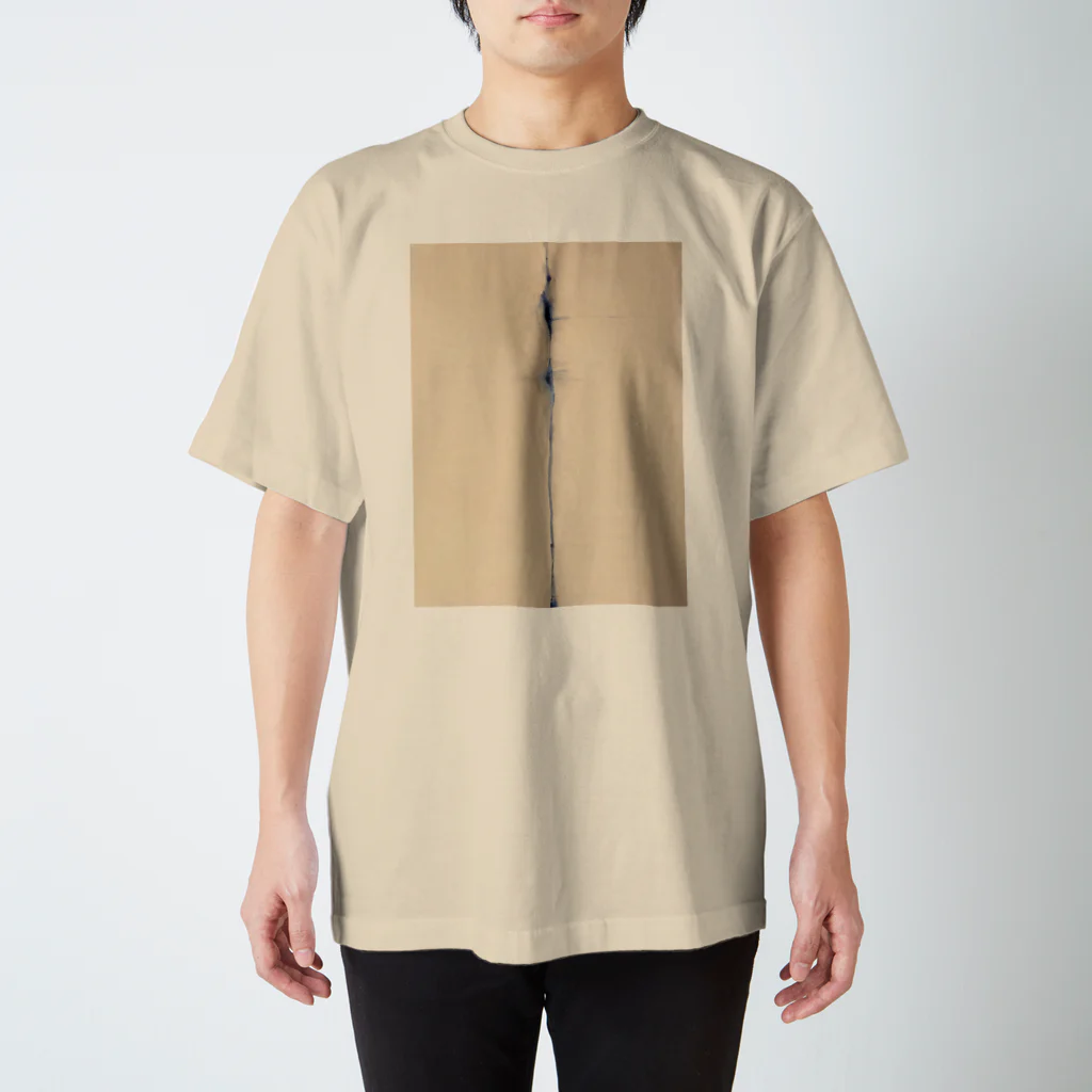 HeNlYの透 Regular Fit T-Shirt