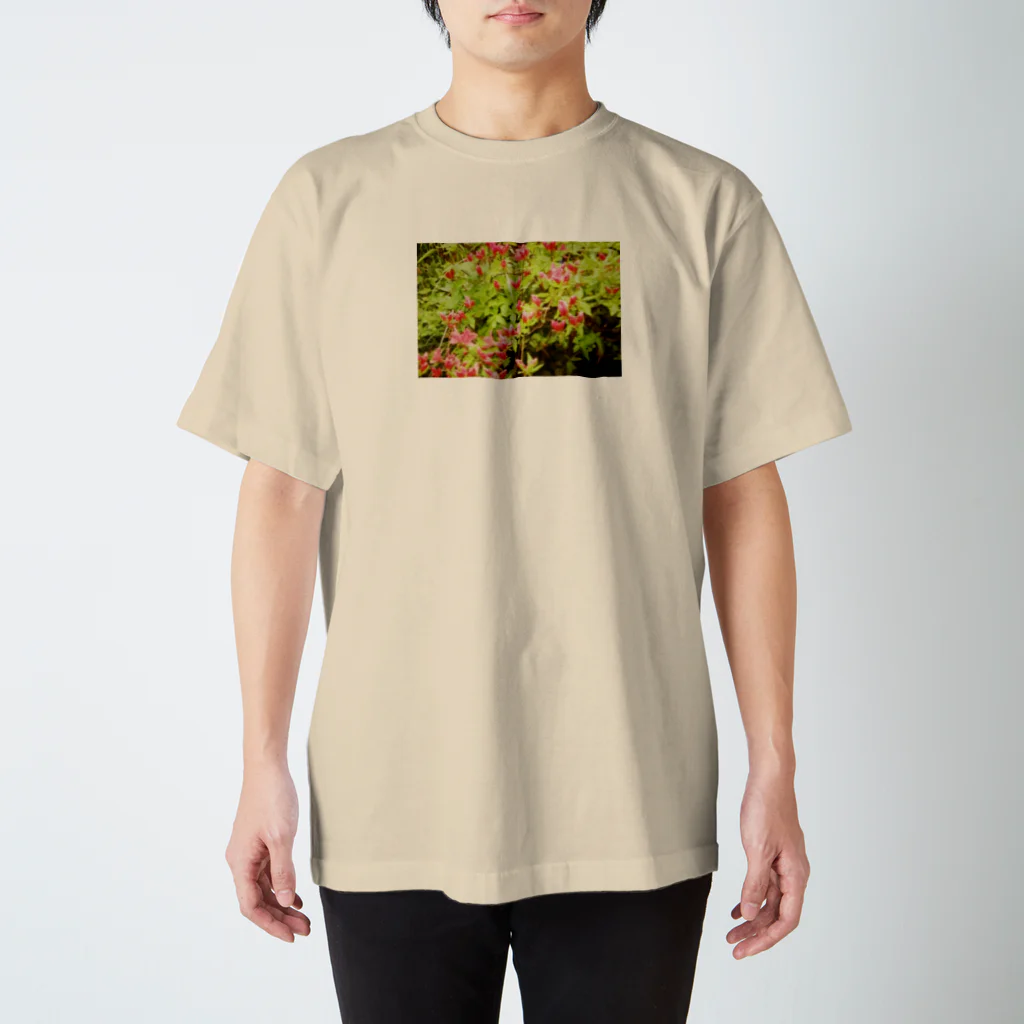 スキー場のゆきの帰り道のお花 Regular Fit T-Shirt