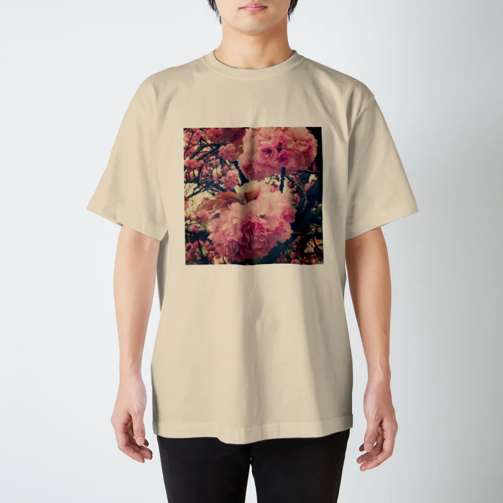 あっしゅの八重桜(レトロ) スタンダードTシャツ