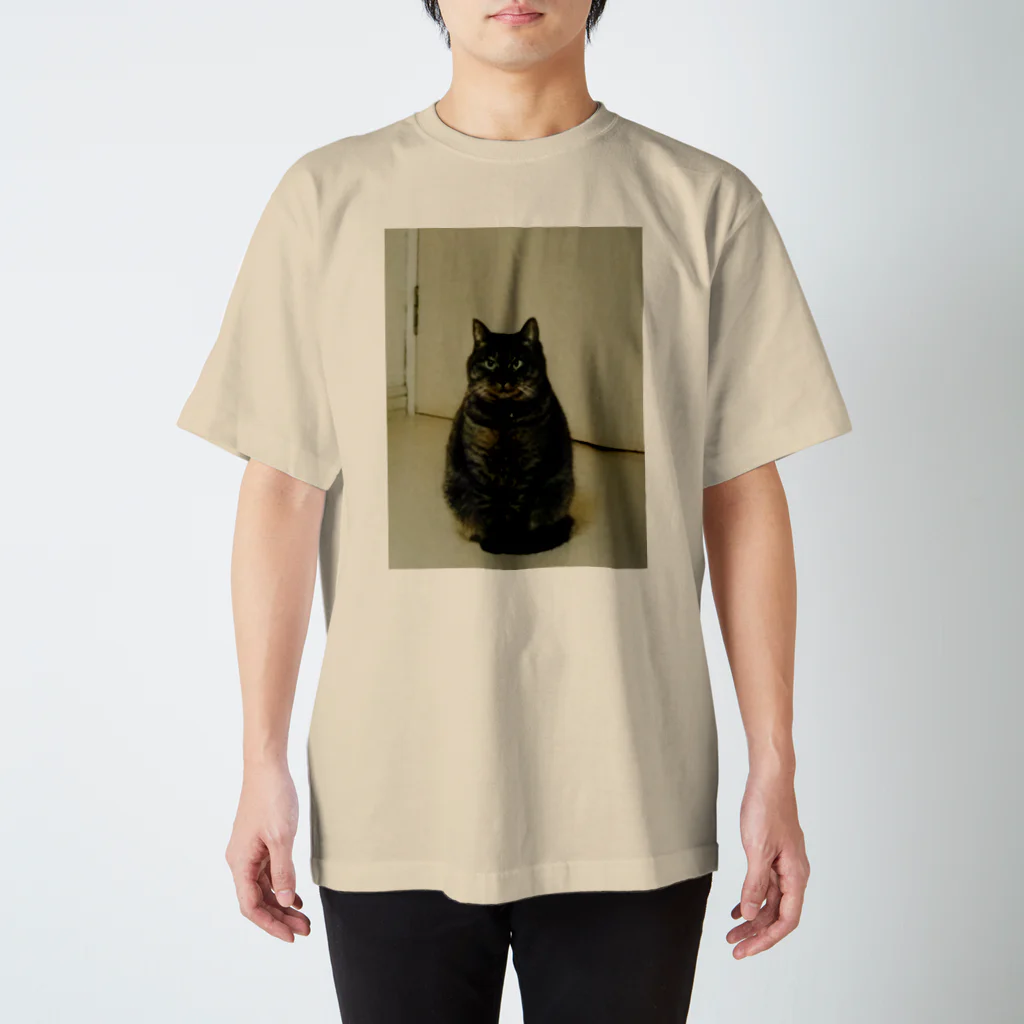 まるねこつくばのまるねこつくば スタンダードTシャツ