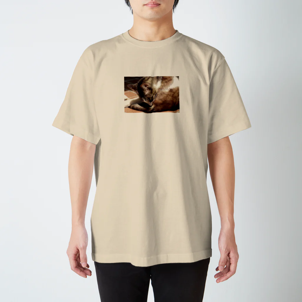 藤井愛稀 / Itsuki Fujiiの陽だまりのねこちゃん Regular Fit T-Shirt