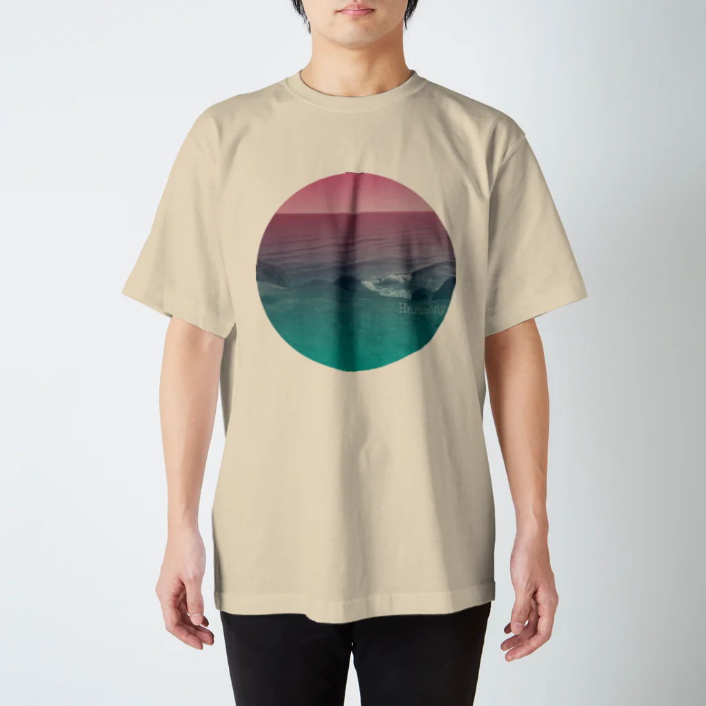 groovy-groovyの調和 Regular Fit T-Shirt