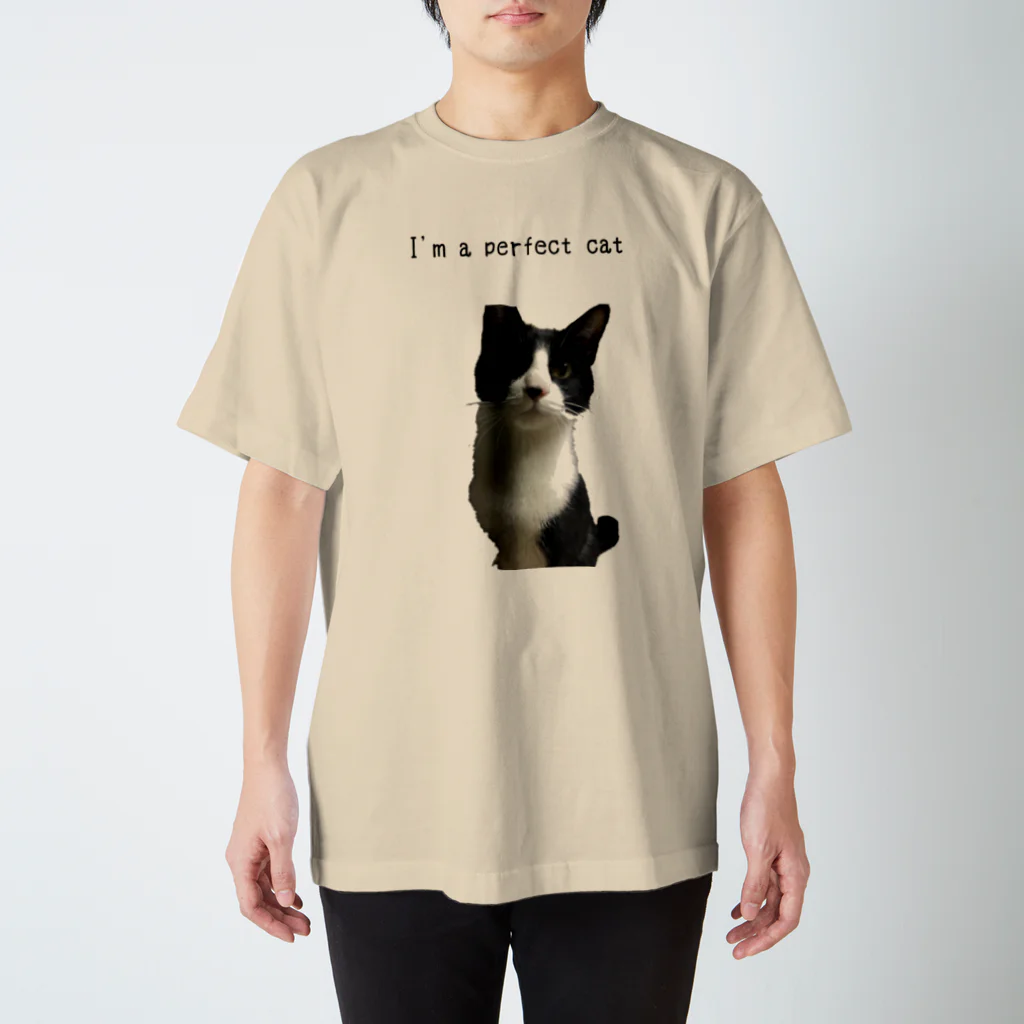 ねこといろいろのあいむ あ ぱーふぇくと にゃんこ スタンダードTシャツ