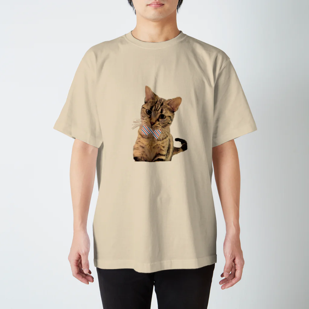 ねこといろいろの気まぐれにゃんこ スタンダードTシャツ