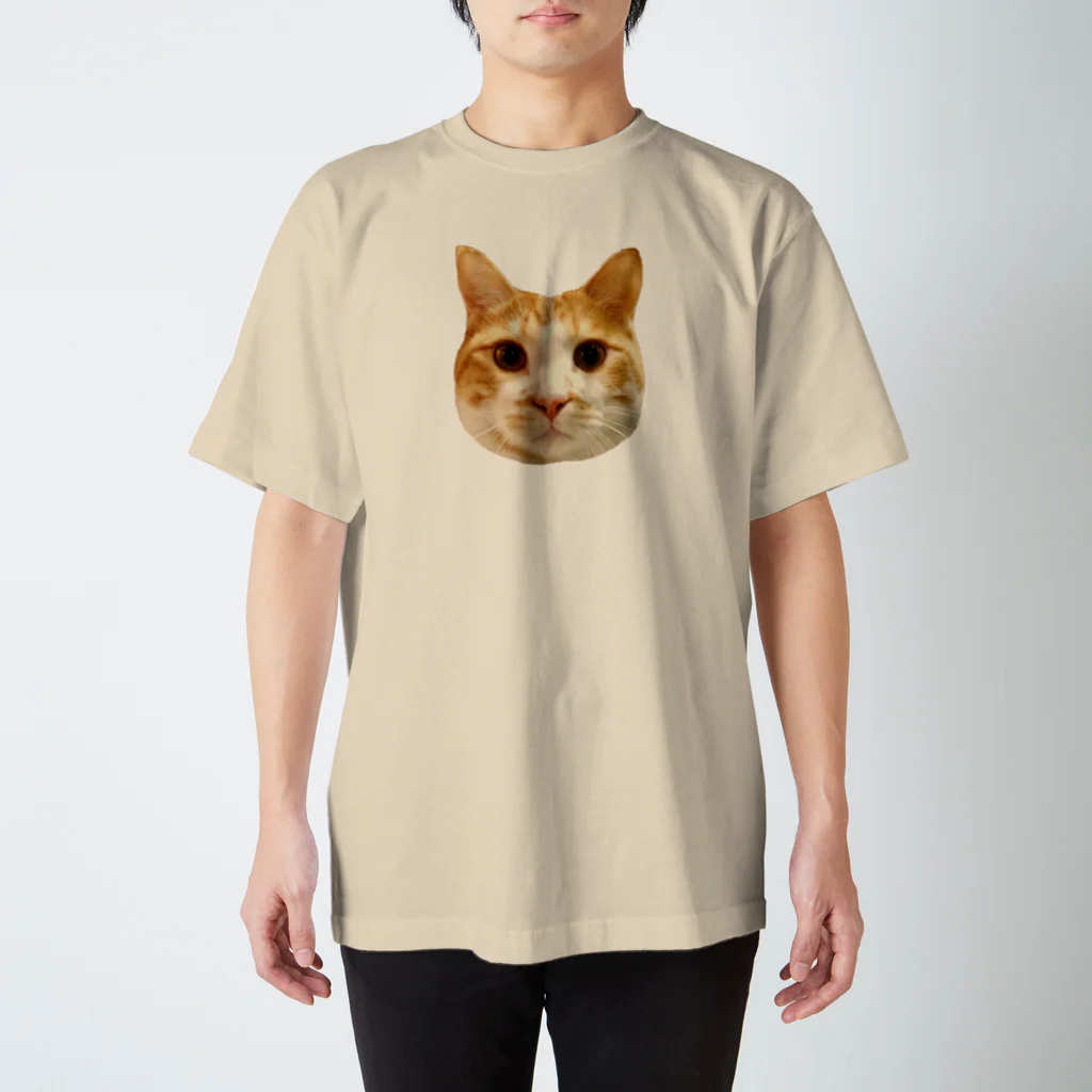 straycatbluesの元気がでる猫みーたろう スタンダードTシャツ