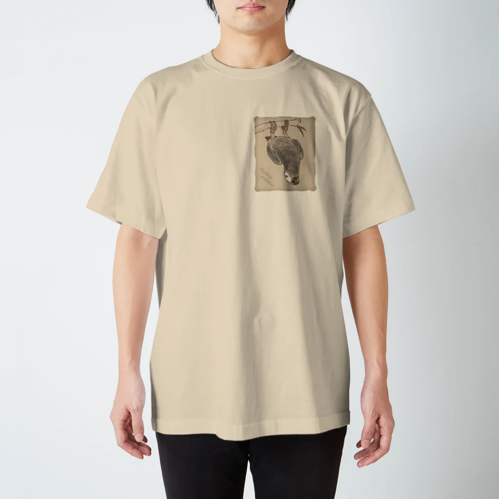 オカ　トモコのヨウム　アフリカンパロット Regular Fit T-Shirt