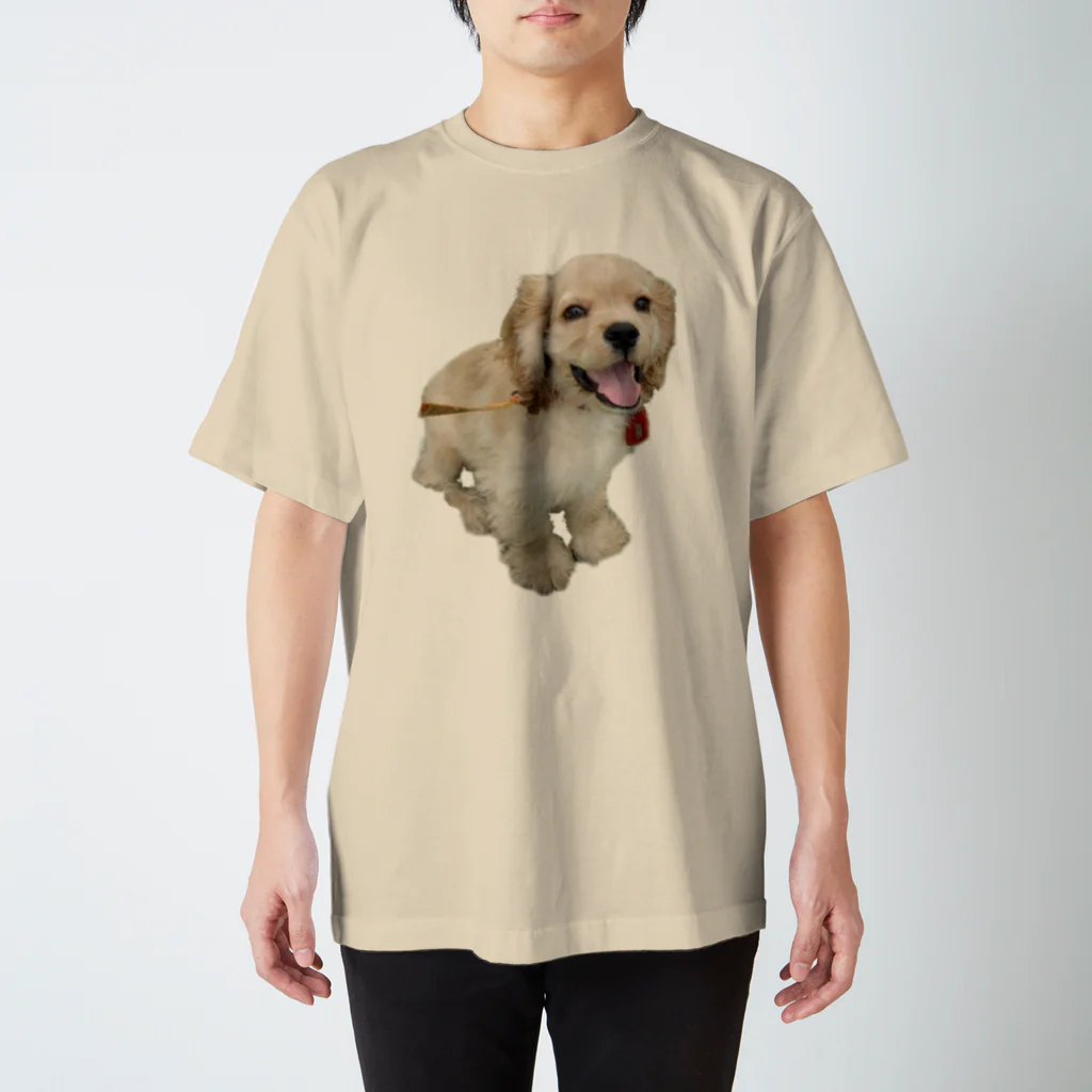 犬の生活が第一の超キュート！アメリカンコッカーのピコたん スタンダードTシャツ