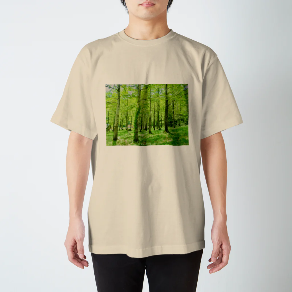 One natureのOne nature スタンダードTシャツ