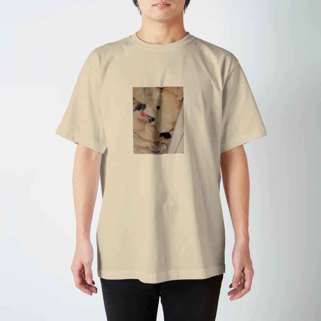 GENJIのｲﾝﾇwww Regular Fit T-Shirt