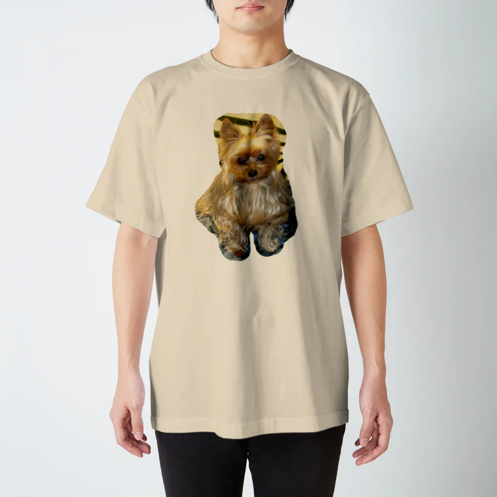 やまかわの愛犬レオくん スタンダードTシャツ