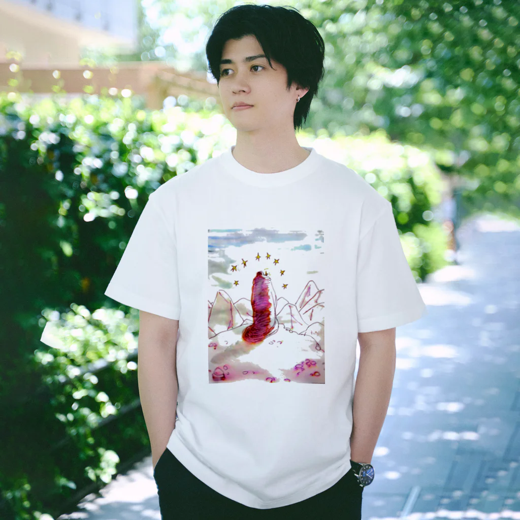 たんざわ騎士の希望の星 Regular Fit T-Shirt