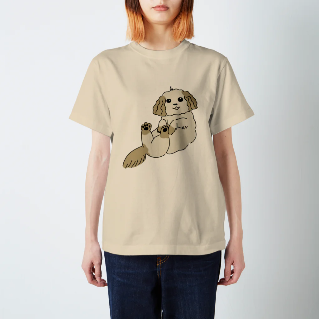 あおぞらの抱っこされ犬 スタンダードTシャツ