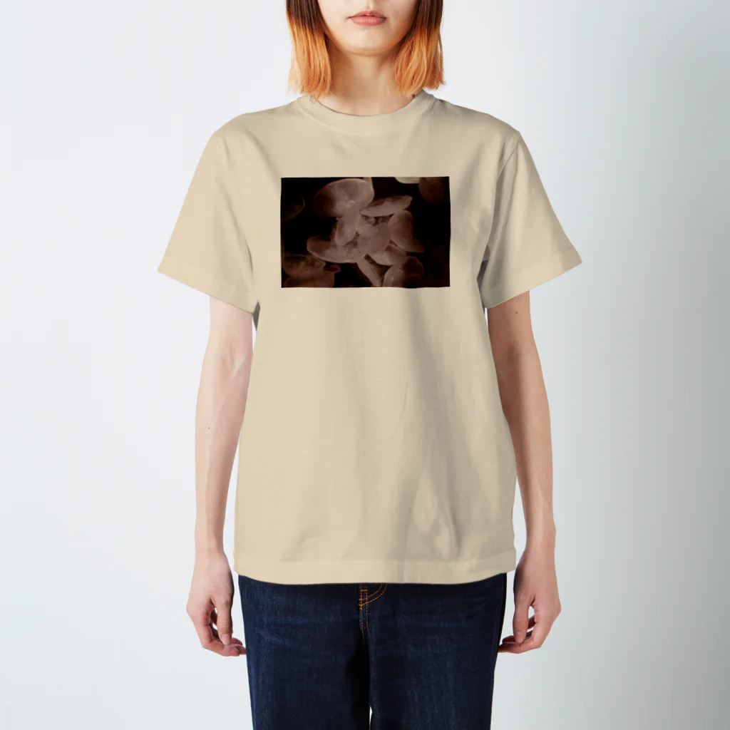 DecoLacertaのsepia jellyfish スタンダードTシャツ