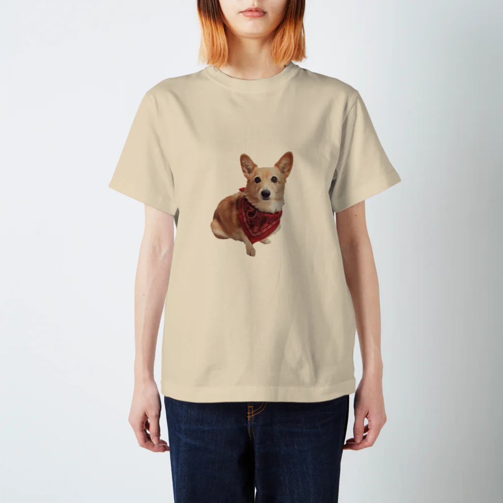 はるとのお犬 Regular Fit T-Shirt