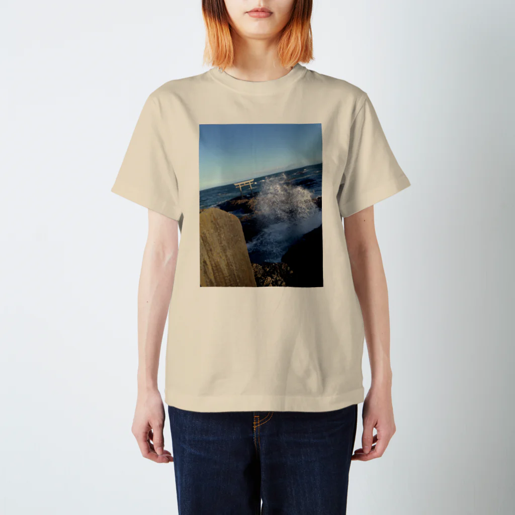 【表源者：ホリイサトシ】のARANAMI～大海～ Regular Fit T-Shirt