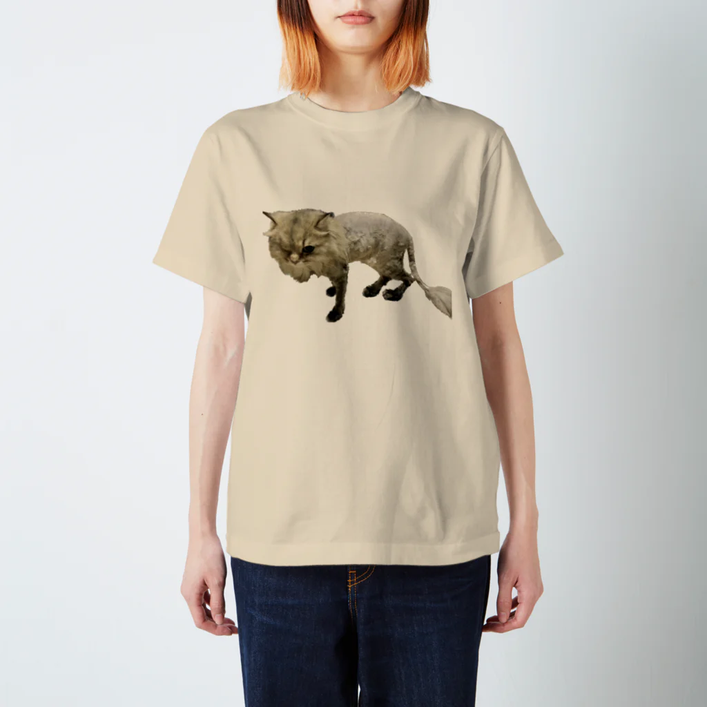 ねここねこやま のサマーカット Regular Fit T-Shirt