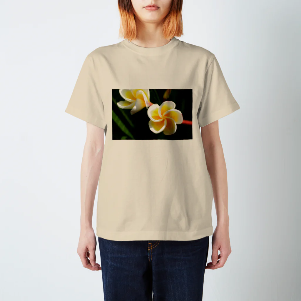 kamakiri3のFlower of the Heart　プルメリア スタンダードTシャツ