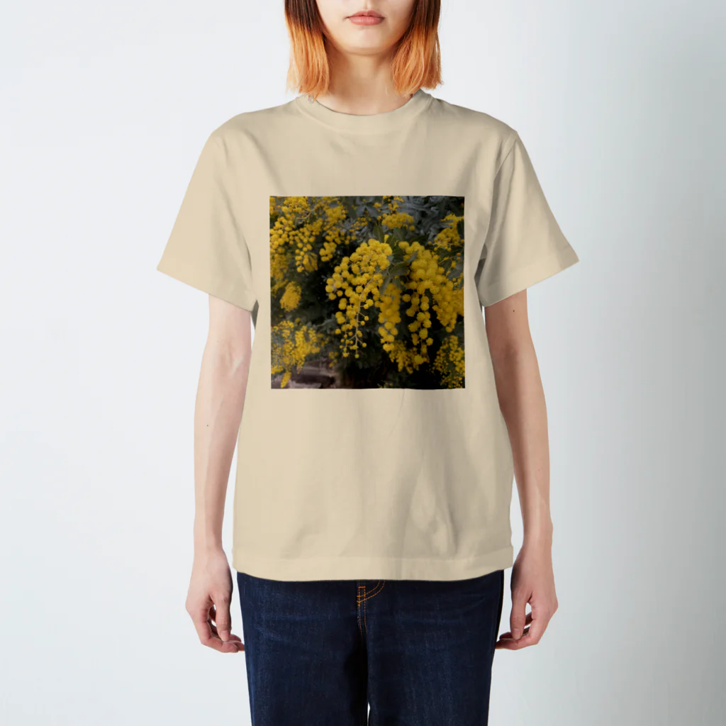 minamu_の花粉飛散 スタンダードTシャツ