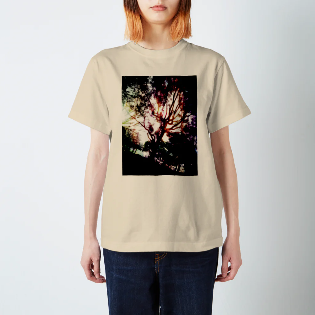 白夢の虹と木 Regular Fit T-Shirt