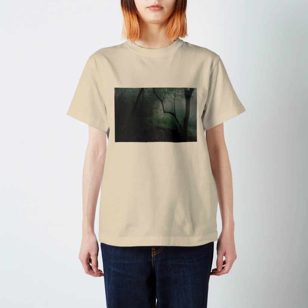 yamamizunoのyakushima Regular Fit T-Shirt