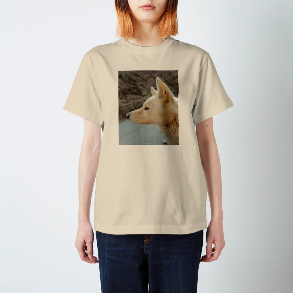 shionのKeep Looking Regular Fit T-Shirt