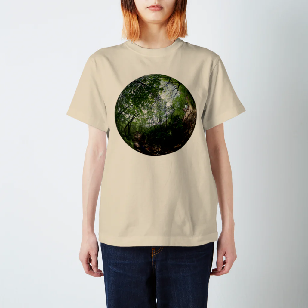 ats084のEARTH LOCAMENT（Yahiko） スタンダードTシャツ