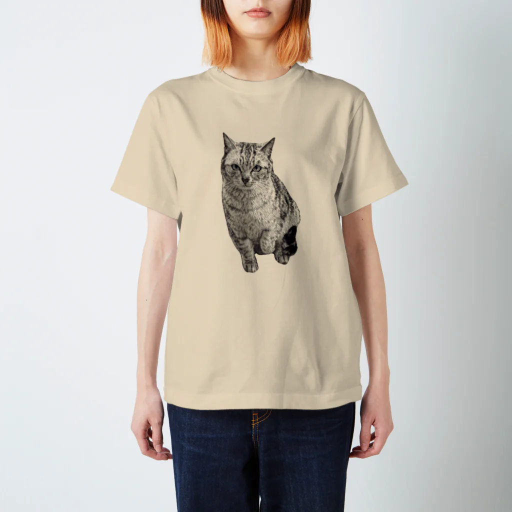 ちばっちょ【ち畳工房&猫ねこパラダイス】のトラ猫シマちゃん Regular Fit T-Shirt