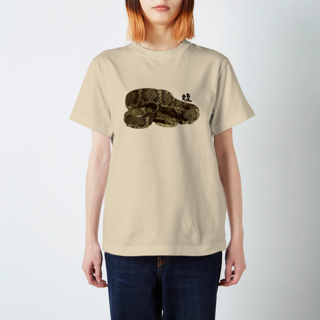 AtelierΦの蝮 Regular Fit T-Shirt