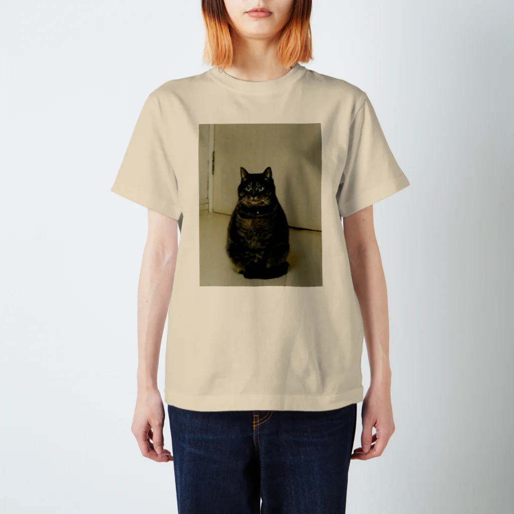 まるねこつくばのまるねこつくば スタンダードTシャツ