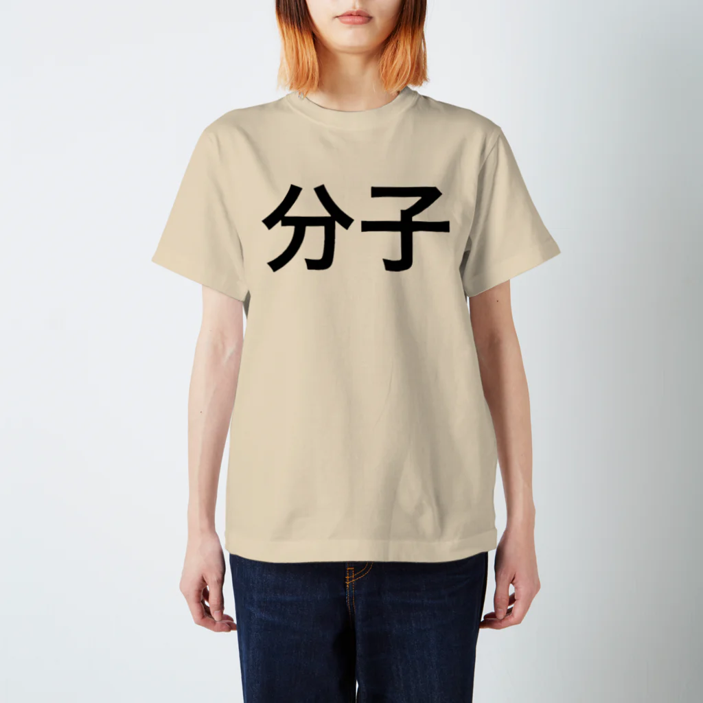 のののの分子 Regular Fit T-Shirt