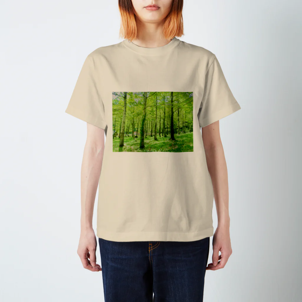 One natureのOne nature スタンダードTシャツ