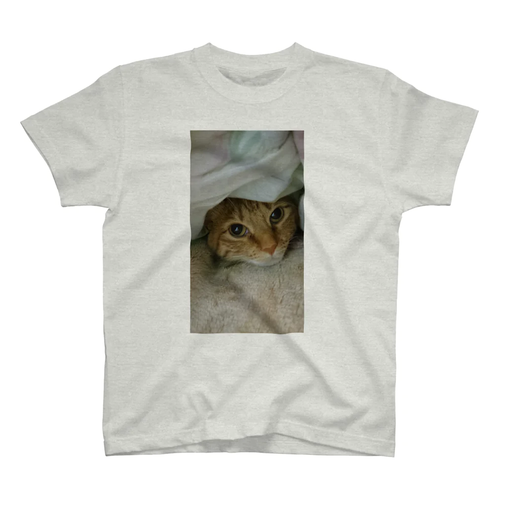 misaoのかくれ猫 Regular Fit T-Shirt