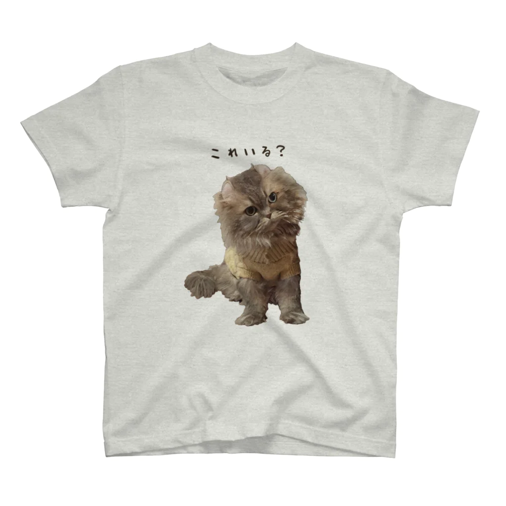 hoimisoの不服そうなペシャンコ猫のあおたろ（ひらがなver.） Regular Fit T-Shirt