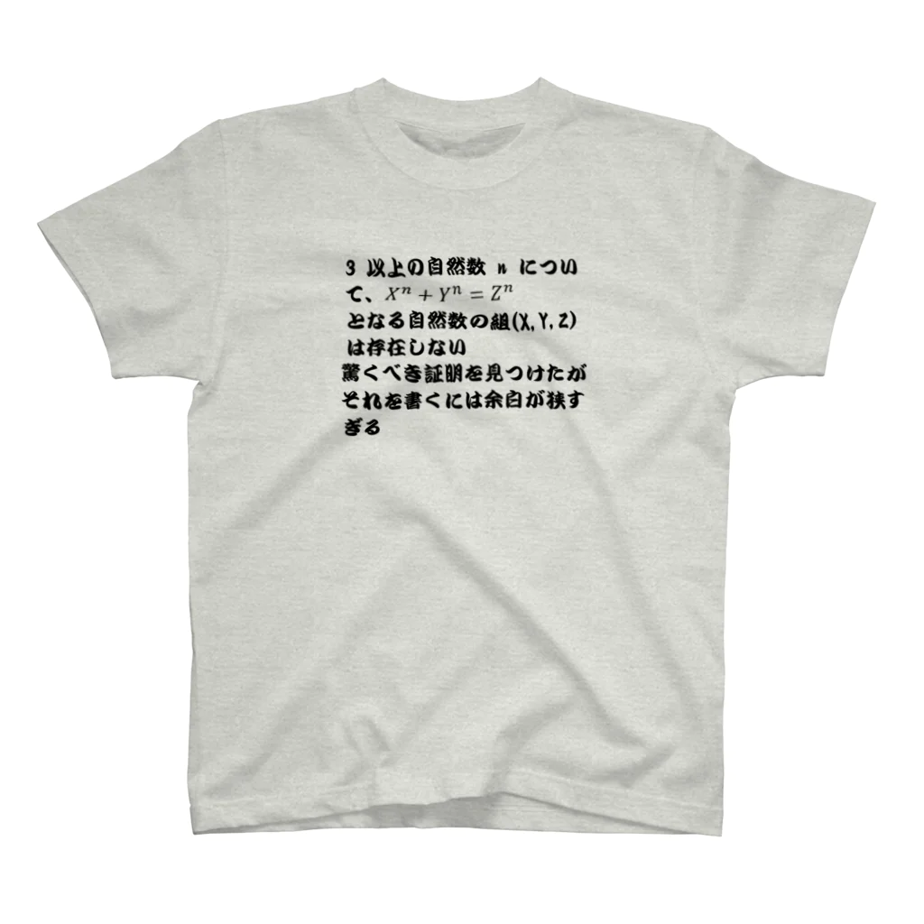 Physicsのフェルマー スタンダードTシャツ