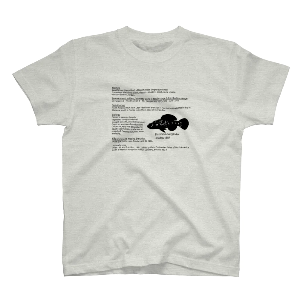 Serendipity -Scenery In One's Mind's Eye-のPicture book Regular Fit T-Shirt