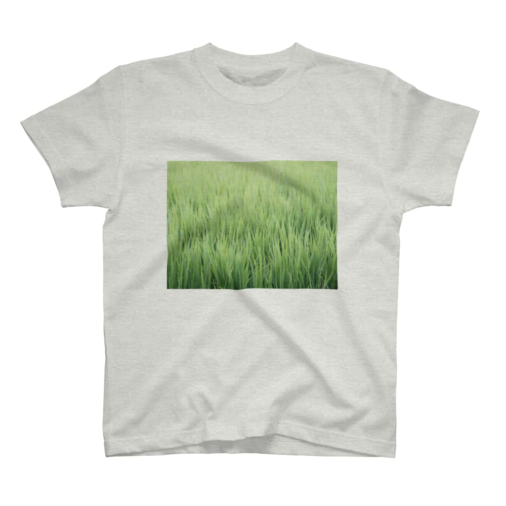 uiiiiiiiiiiiiiiiiiiiiiiiiuの田植え（みたいな） スタンダードTシャツ