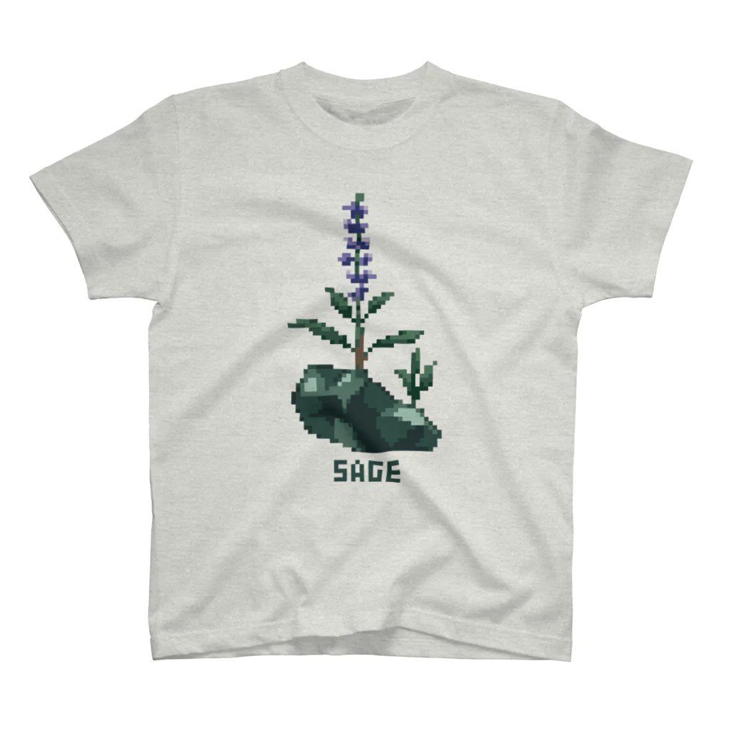 芹石せいじの鉱石×植物ドット　セージ Regular Fit T-Shirt