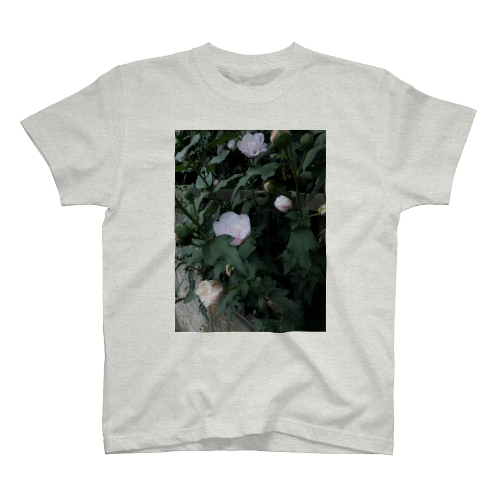 よぴてっくすのお花ちゃん スタンダードTシャツ