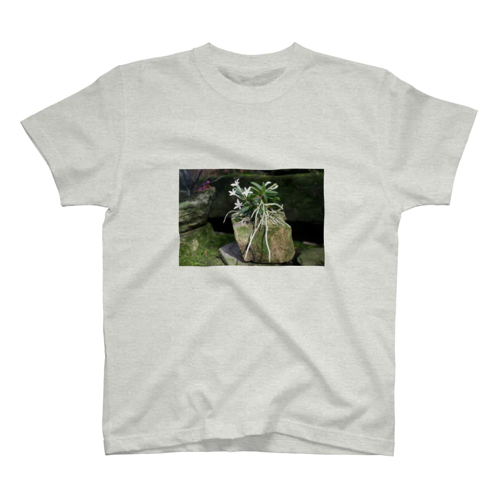 soramamekoの石の花   NO.1 Regular Fit T-Shirt