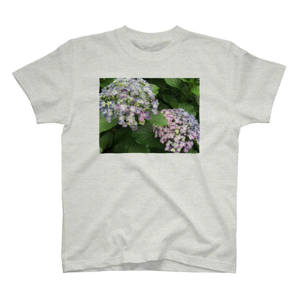 chachakoo5の梅雨の花 Regular Fit T-Shirt