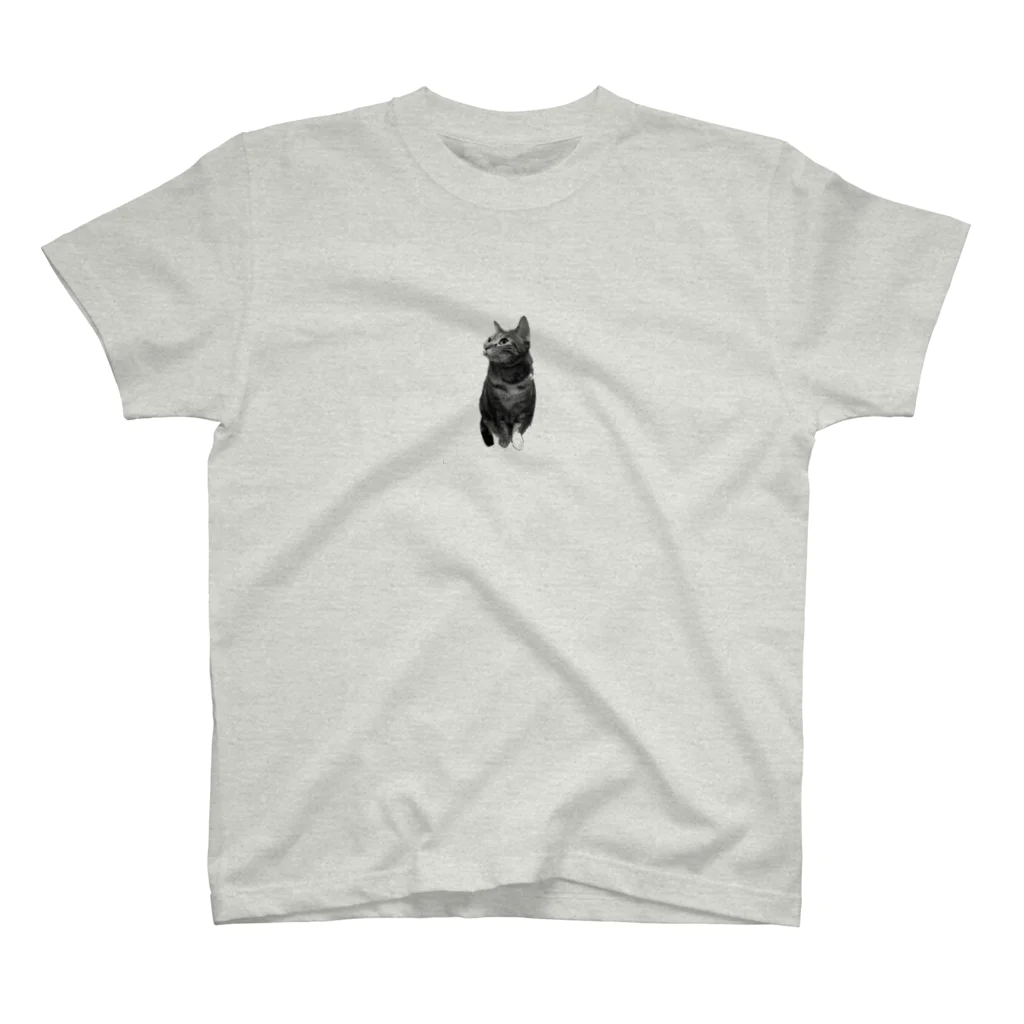 neneのすわるねこ Regular Fit T-Shirt