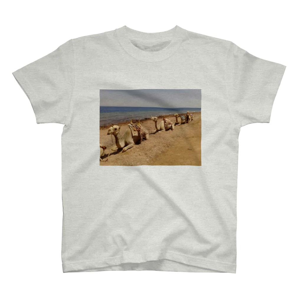 CRUISE SHIPのCamel Arrangements スタンダードTシャツ